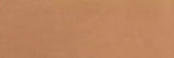 fPI8 Summer Terracotta 30.5x91.5 RT
