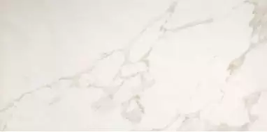 fPP5 Roma 50 Calacatta 50x120