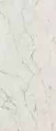 fPZN ROMA GOLD CALACATTA DELICATO BRILLANTE 120х278