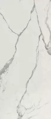fPZP ROMA GOLD CARRARA SUPERIORE BRILLANTE 120х278