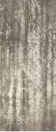 fQWO Ylico Wood Fog 120x278