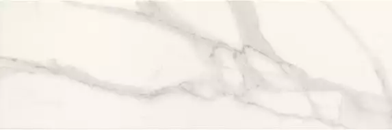 fRE7 Плитка Roma Diamond Statuario Brillante 25x75