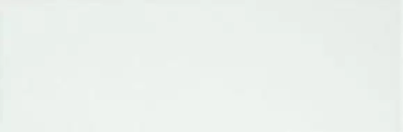 fREL Плитка Lumina White Matt 25x75