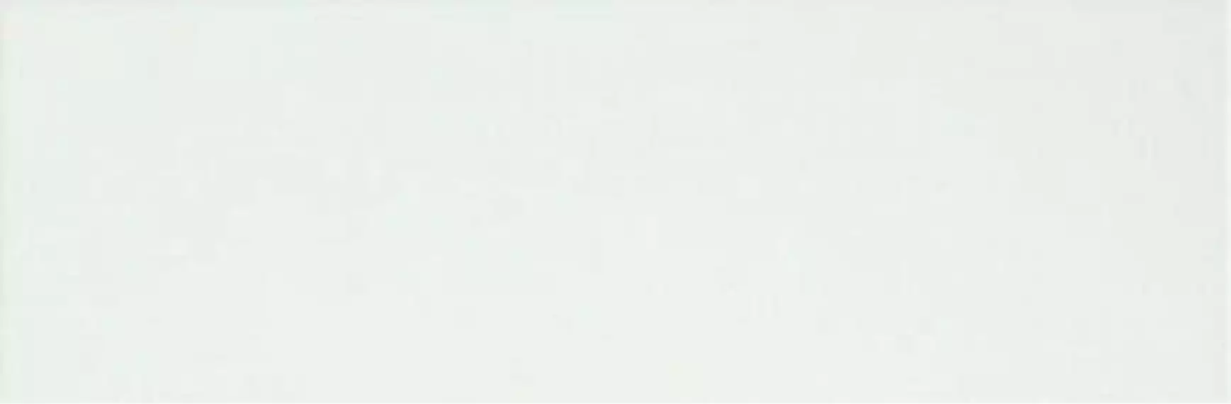 fREZ Плитка Lumina White Gloss 25x75