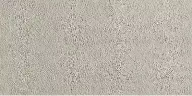 fRGQ Плитка Bloom Print Grey 80x160