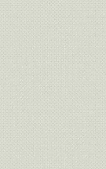А6R061 Verdelato Olive 25х40