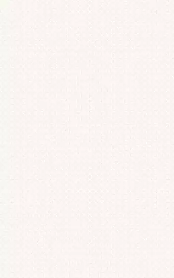 А6А051 Verdelato Ivory 25х40