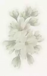 А6А301 Декор Verdelato Magnolia 25х40