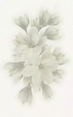 А6А301 Декор Verdelato Magnolia 25х40