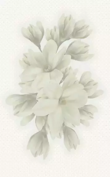 А6А301 Декор Verdelato Magnolia 25х40