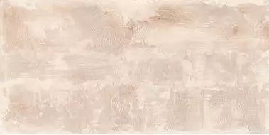 Авиньон низ 25х50