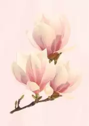 Агата D Розовая 25х35