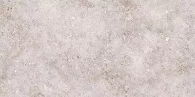 Болонья 1 серый 30х60