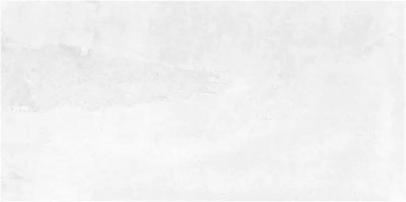 Бордо светлая 250x500