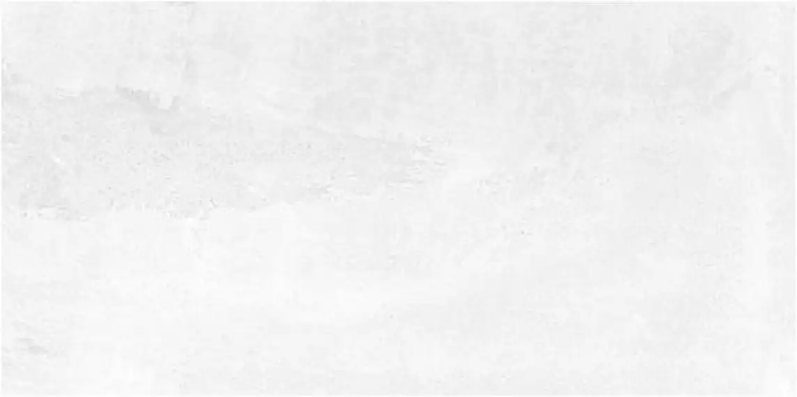 Бордо светлая 250x500