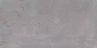 Бордо серая 250x500