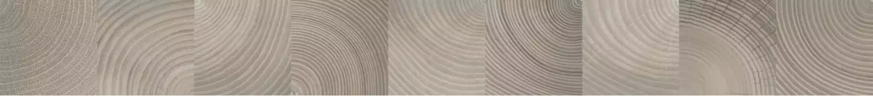 Бордюр Шиен 2Д серый 8.1х75