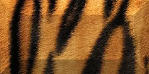 Бордюр рельефный Africa br1020D210-1 20х10