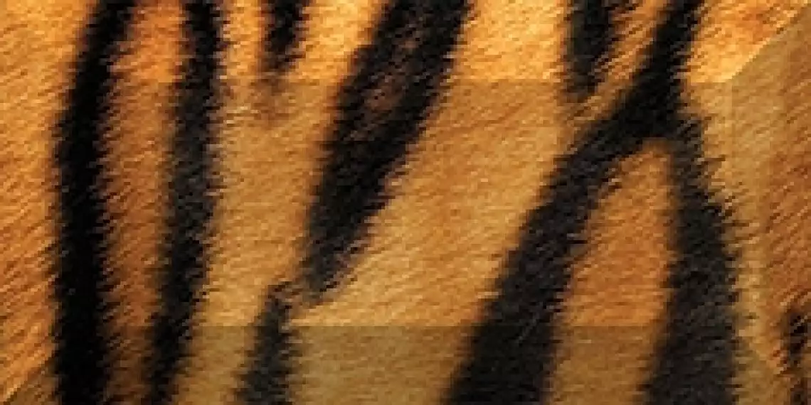 Бордюр рельефный Africa br1020D210-1 20х10
