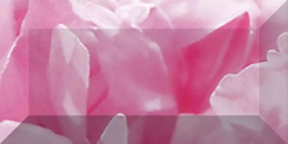Бордюр рельефный Peony br1020D281-1 20х10