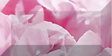 Бордюр рельефный Peony br1020D281-2 20х10