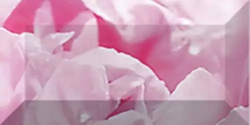 Бордюр рельефный Peony br1020D281-2 20х10