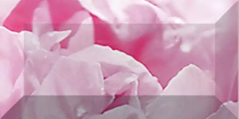 Бордюр рельефный Peony br1020D281-2 20х10