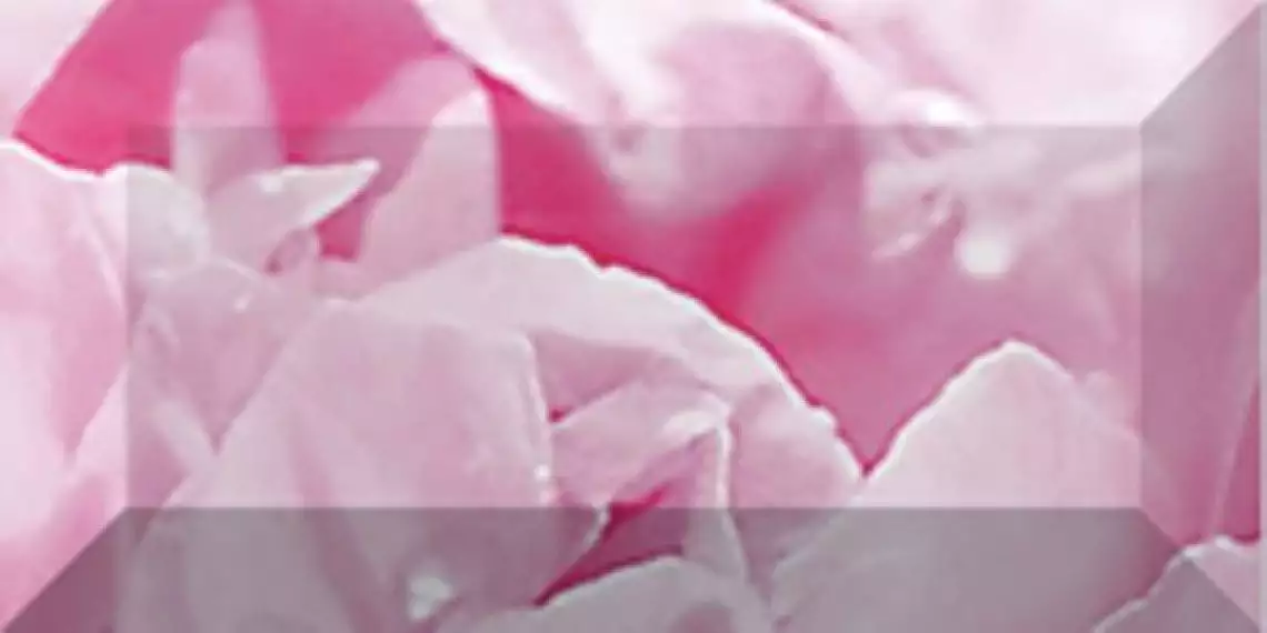 Бордюр рельефный Peony br1020D281-2 20х10