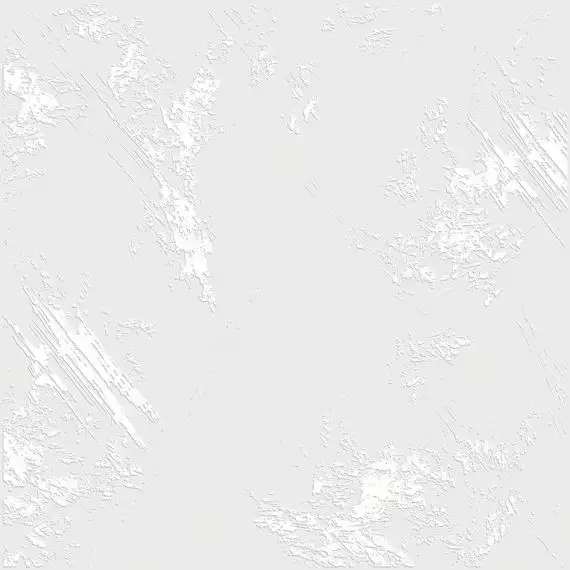 Борнео 40х40
