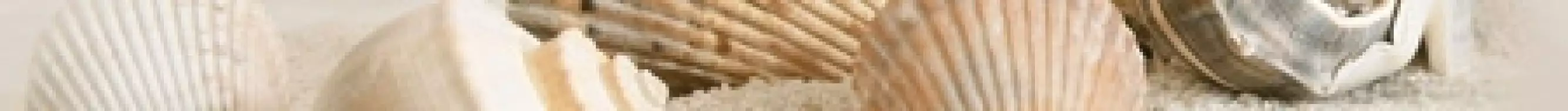 В41301 Саммер Стоун бежевый Holiday бордюр 3х40