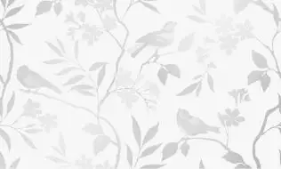 Декор Blanc white 01 30х50