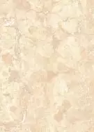 Изабель Верх 25х35