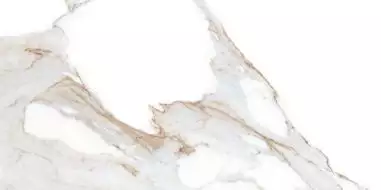 Alex Calacatta Polished 60x120