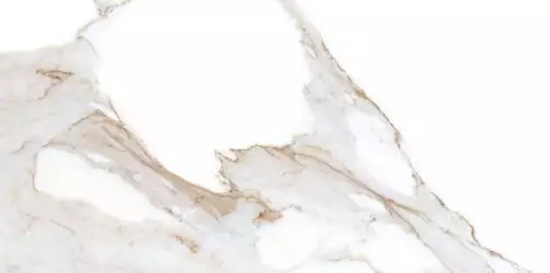 Alex Calacatta Polished 60x120