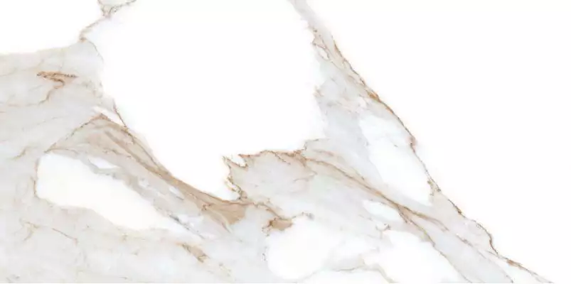 Alex Calacatta Polished 60x120
