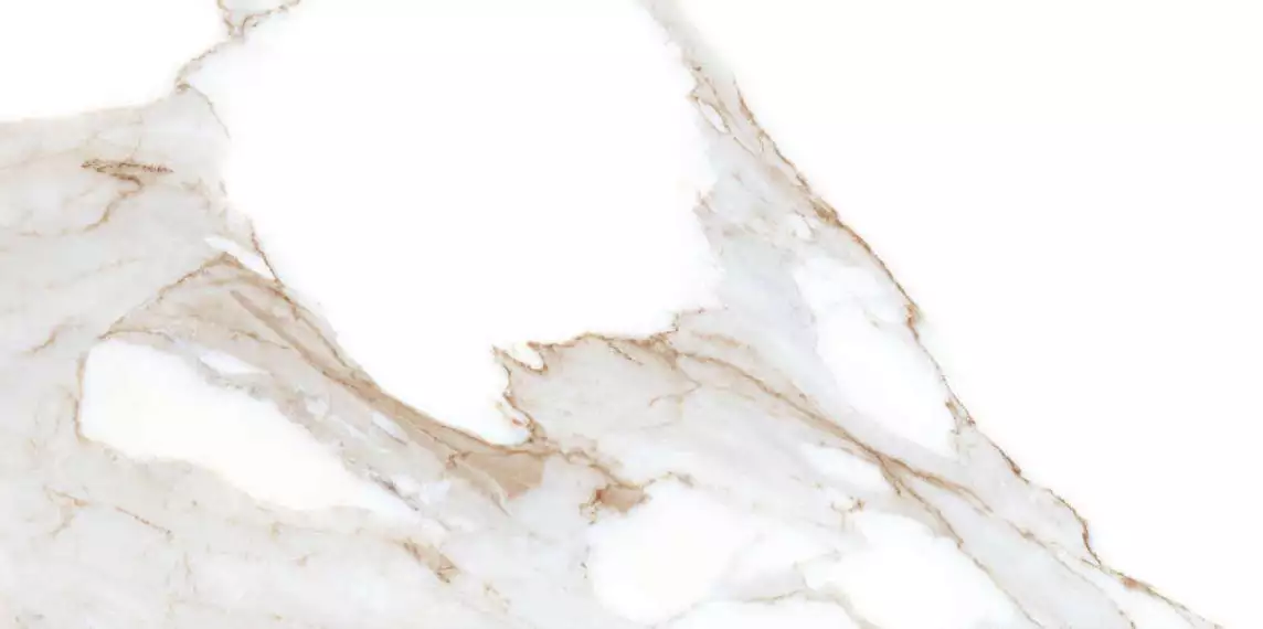 Alex Calacatta Polished 60x120