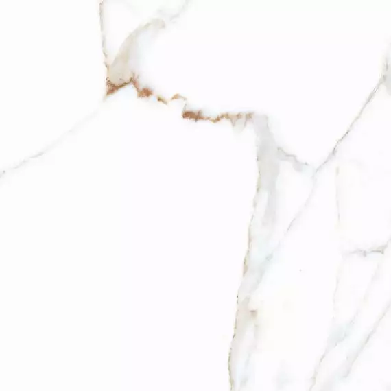 Alex Calacatta Polished 60x60