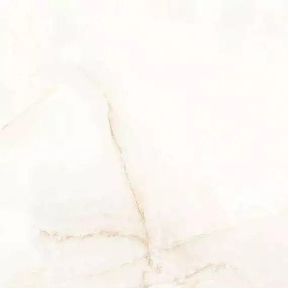 Elite Onyx Polished 60x60