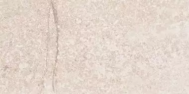 G302 Shunut Beige MR 1200x600