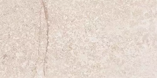 G302 Shunut Beige MR 1200x600