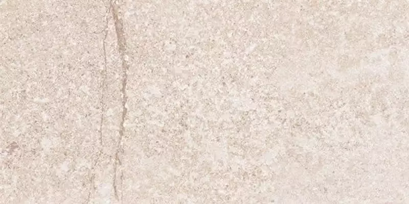 G302 Shunut Beige MR 1200x600