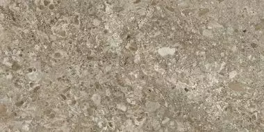 Керамогранит Lunar Brown / Лунар Коричневый LR 120x60