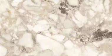 Quartzite Avorio Polished 60x120