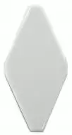 Мозаика FTR-1025A керамика (100*200)100 плоская