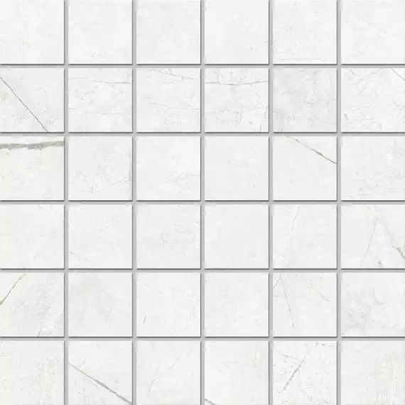 Мозаика NL00 Nolana White неполированный (5х5) 30x30