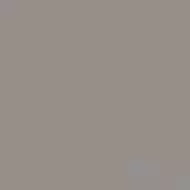 Моноколор 1 серый неглазурованный 60x60