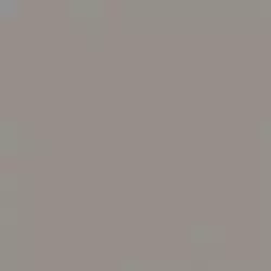 Моноколор 1 серый неглазурованный 60x60