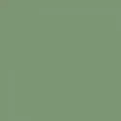 Моноколор 4 зеленый неглазурованный 60x60