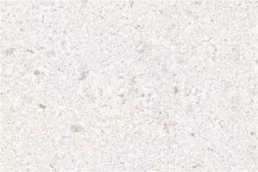 Орегон светло-серая 200х300