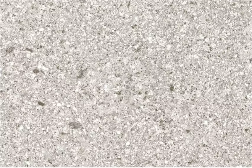 Орегон серая 200х300